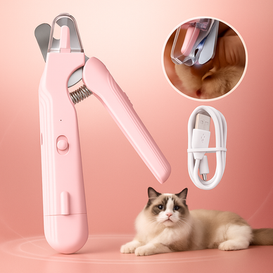 Transform Grooming Into a Bonding Experience